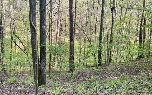 38+AC Ridgehaven Trail