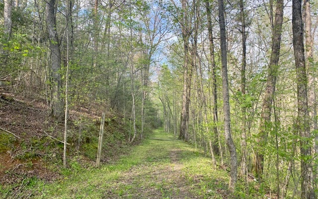 38+AC Ridgehaven Trail