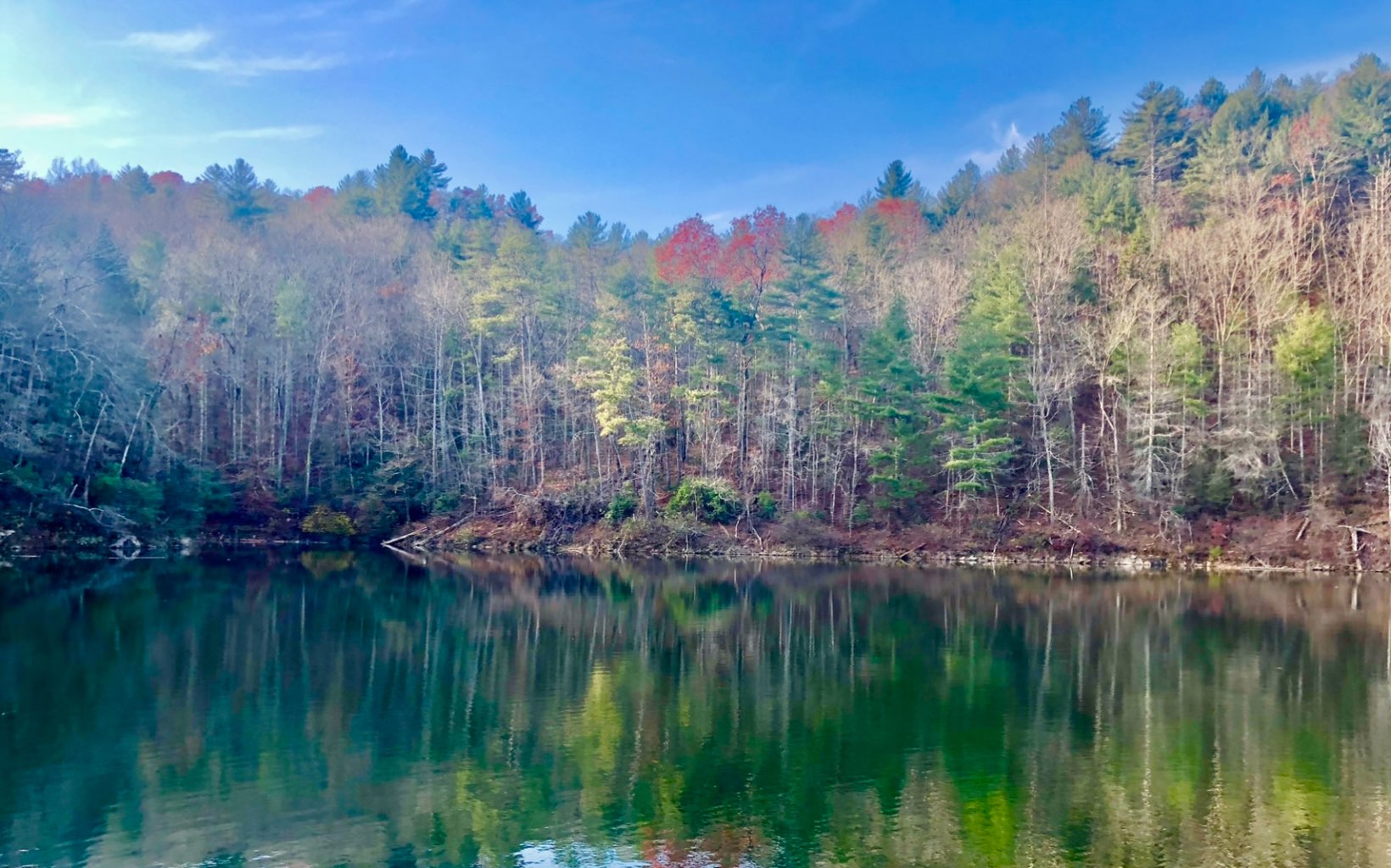7+ AC Hap Holt Road