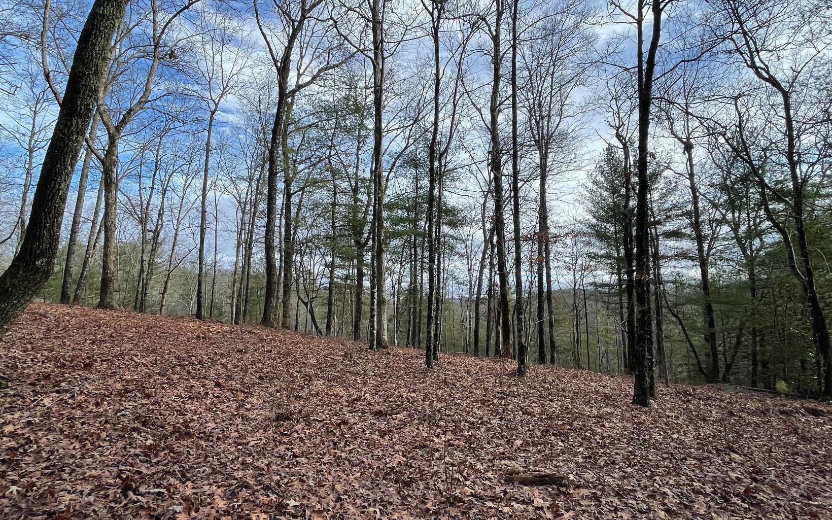 7+ AC Hap Holt Road