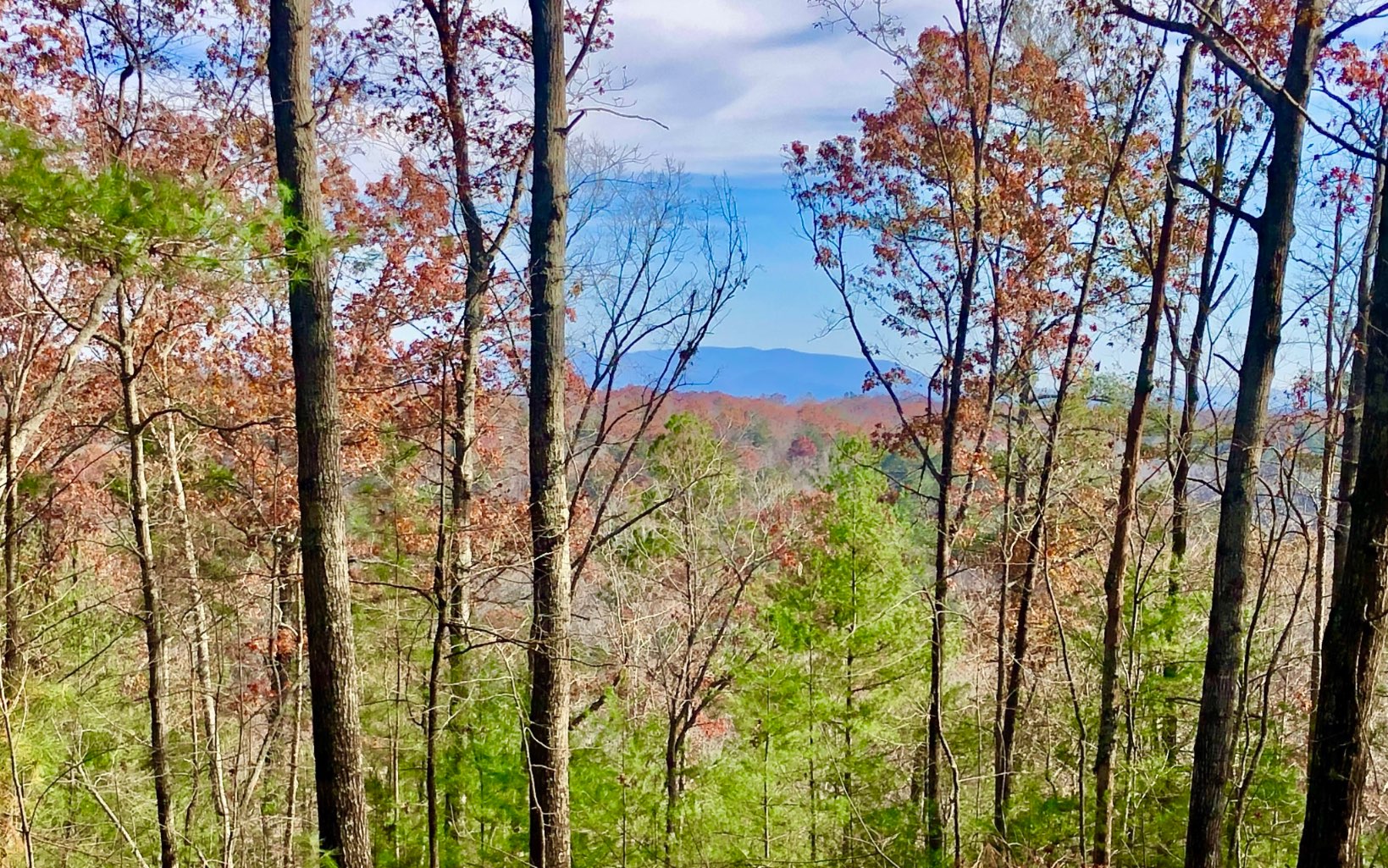 7+ AC Hap Holt Road