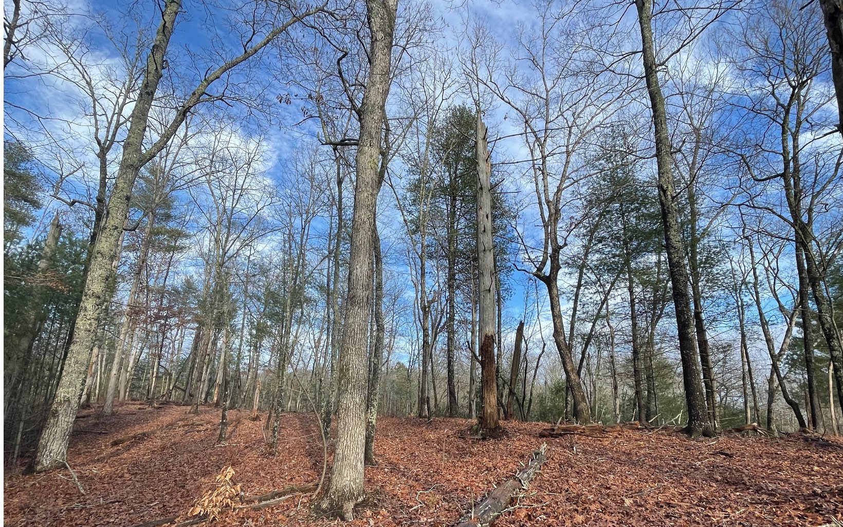 7+ AC Hap Holt Road