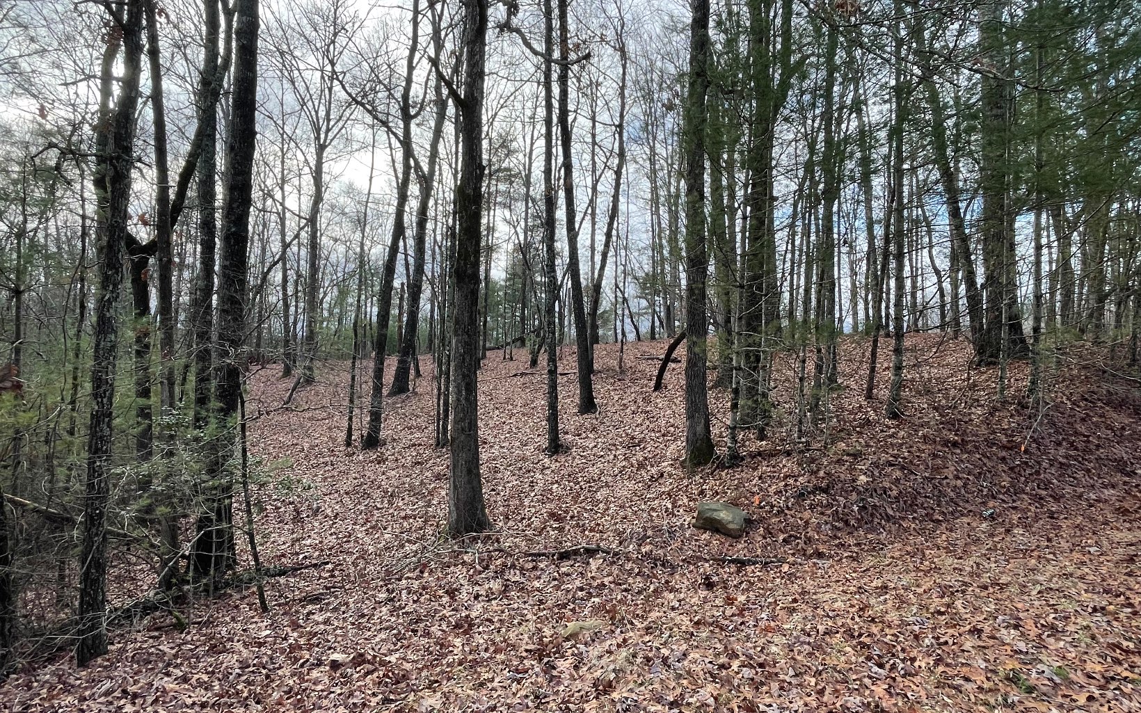 7+ AC Hap Holt Road