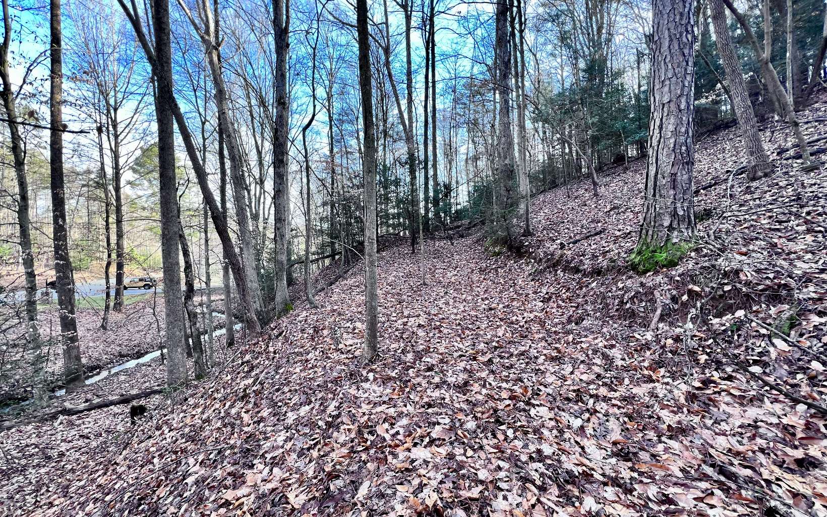 LT33 Beaver Lake Drive