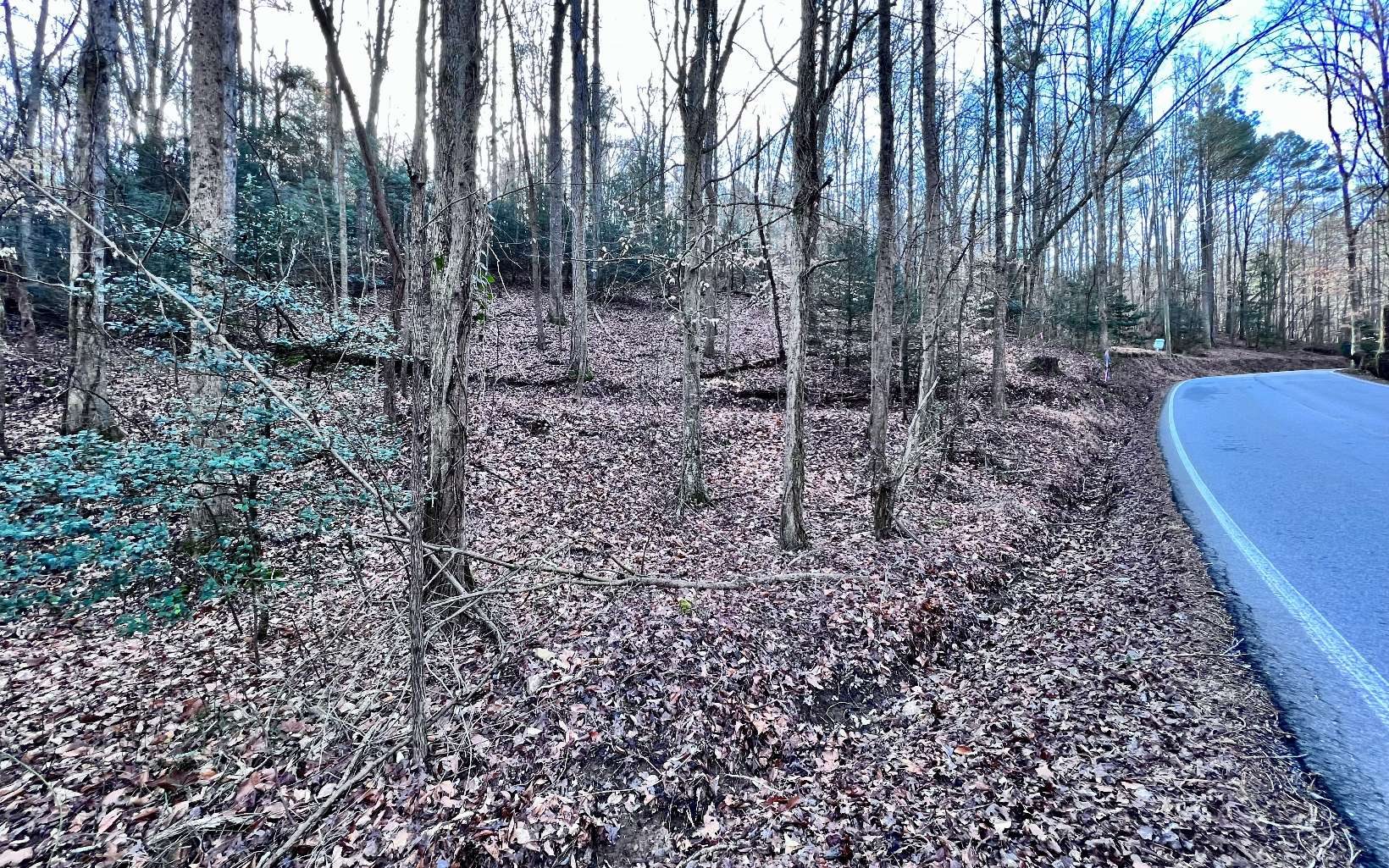 LT33 Beaver Lake Drive