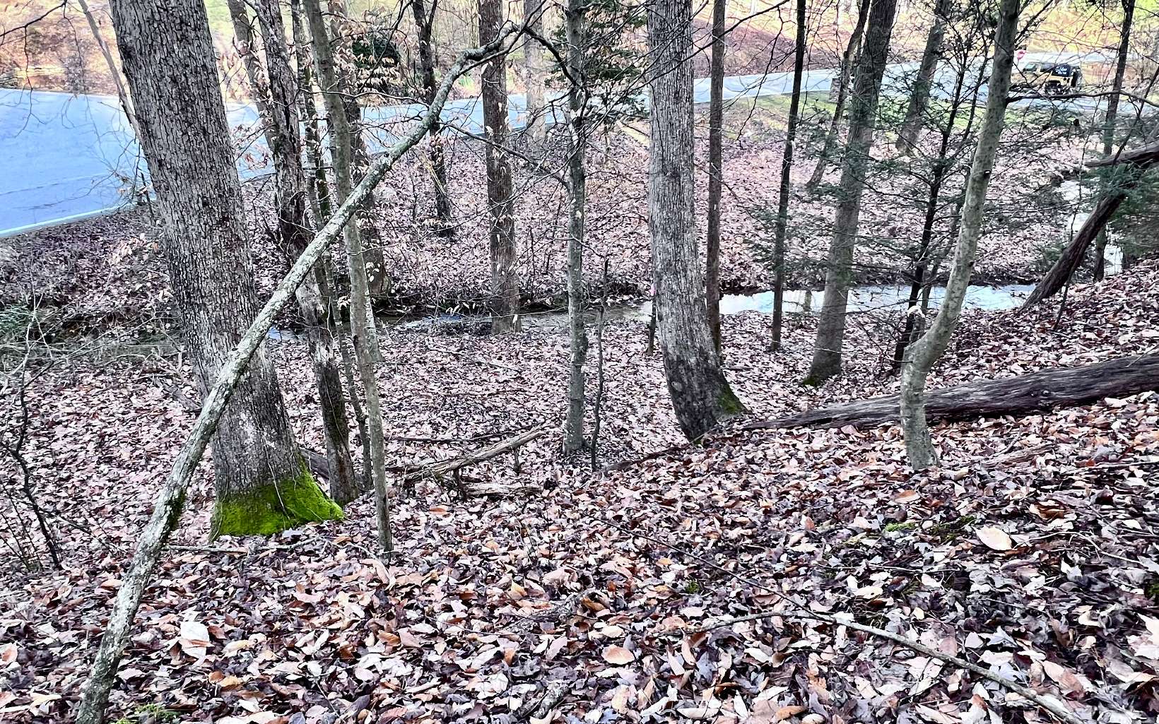 LT33 Beaver Lake Drive
