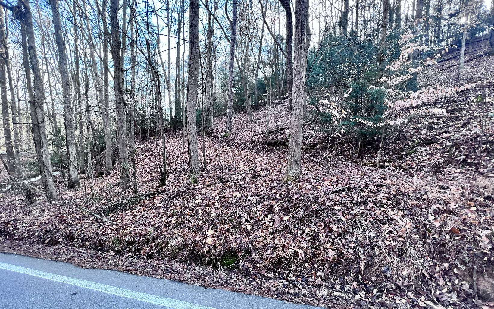 LT33 Beaver Lake Drive