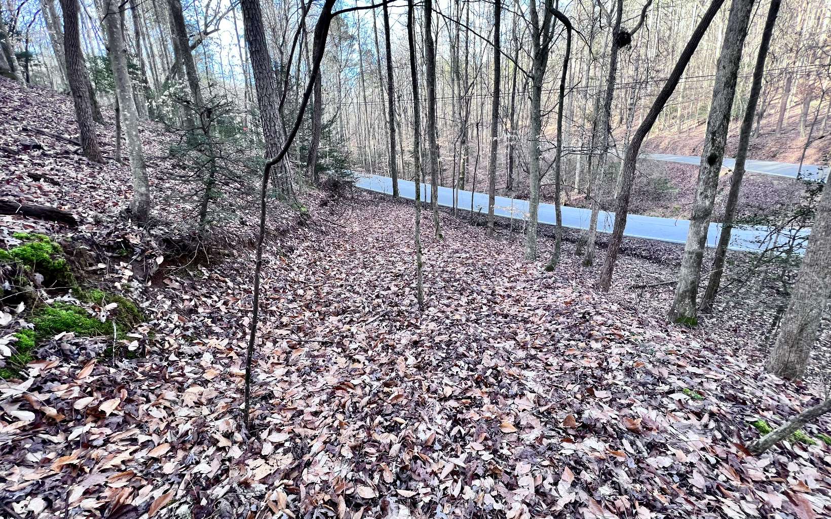 LT33 Beaver Lake Drive