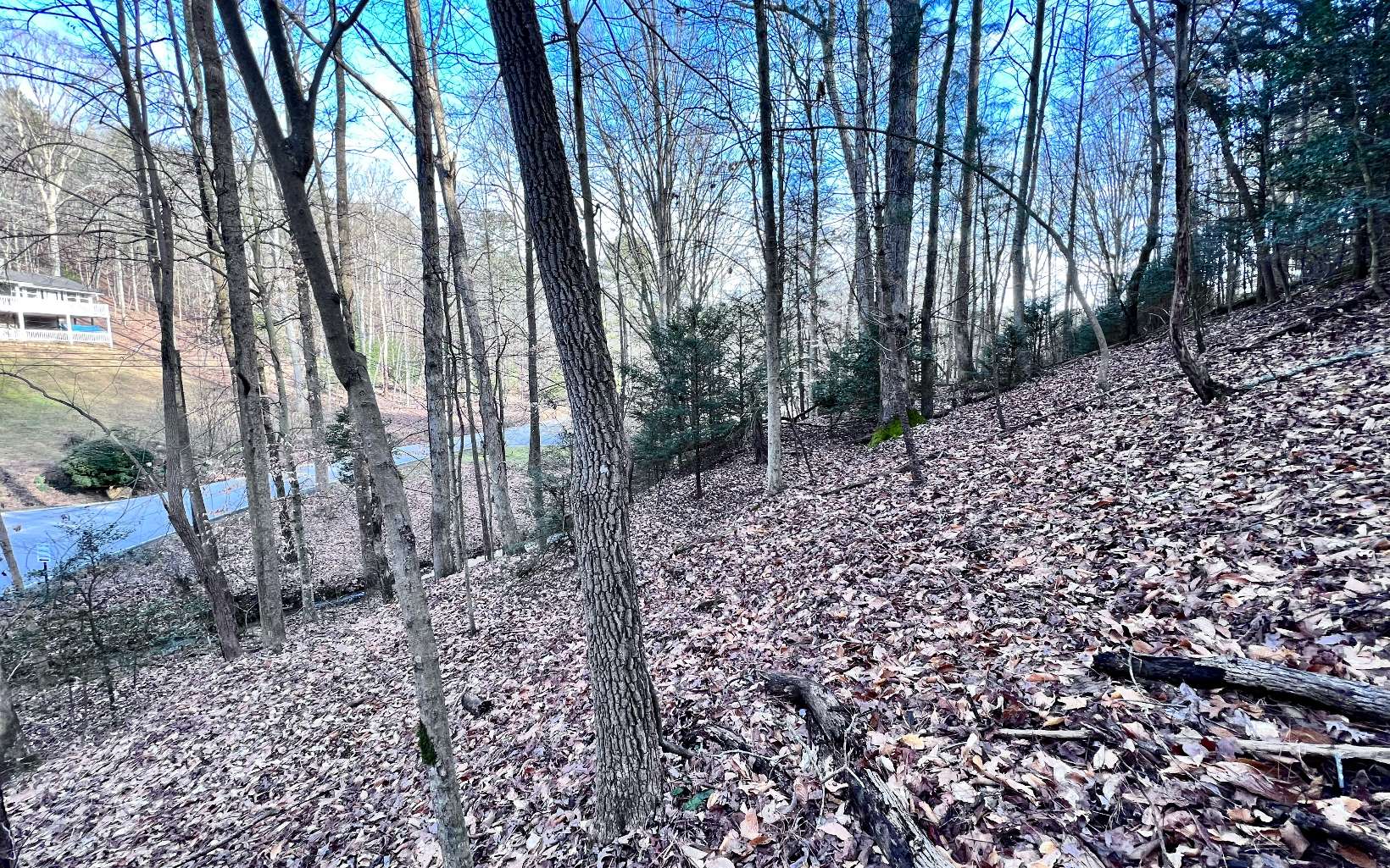 LT33 Beaver Lake Drive