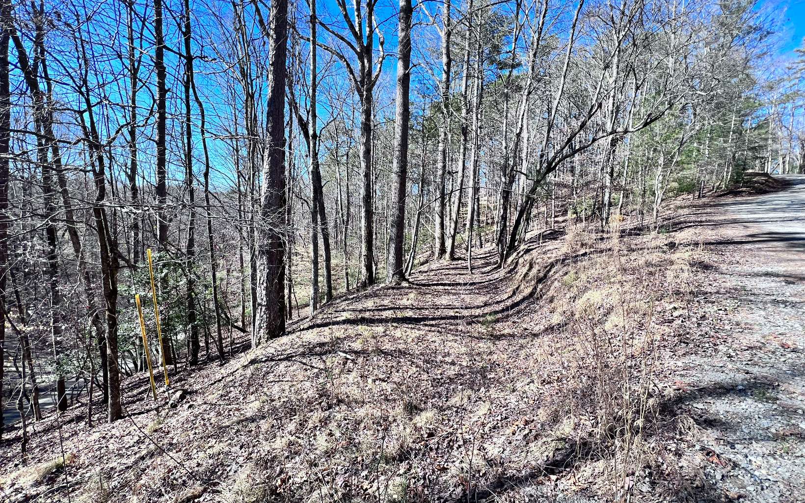 LT765 Riparian Way