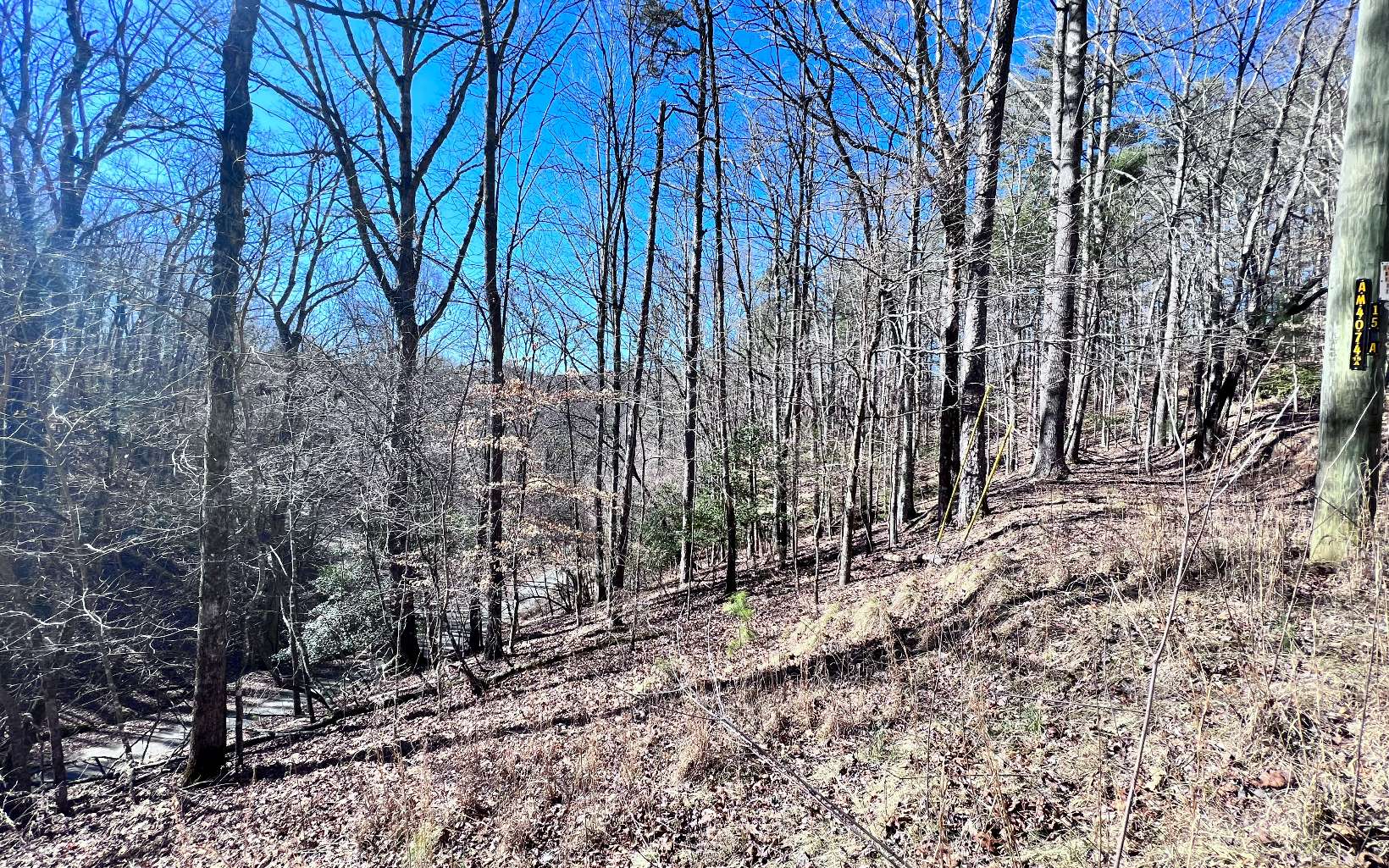 LT765 Riparian Way
