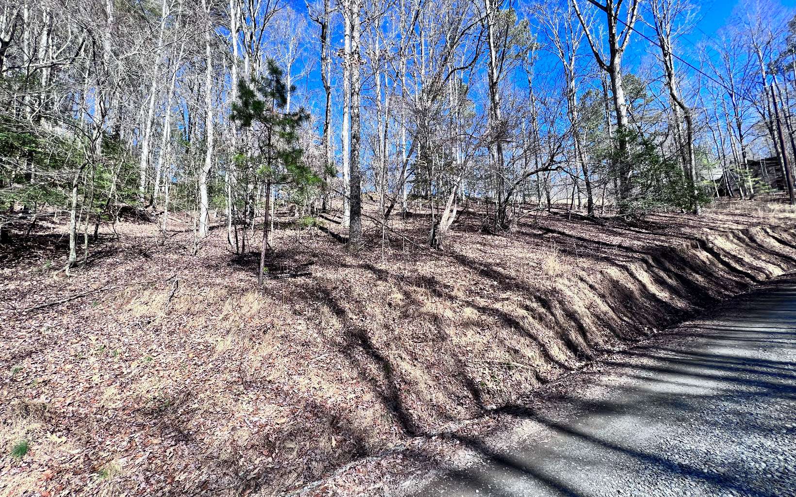 LT765 Riparian Way