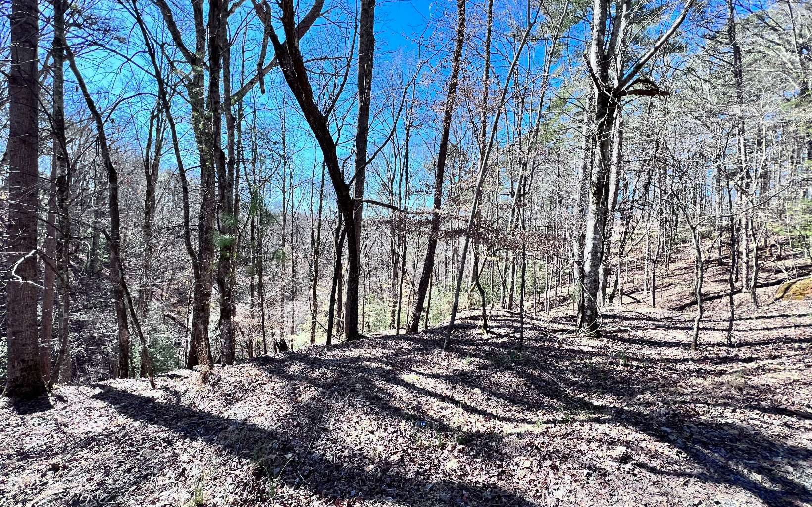 LT765 Riparian Way