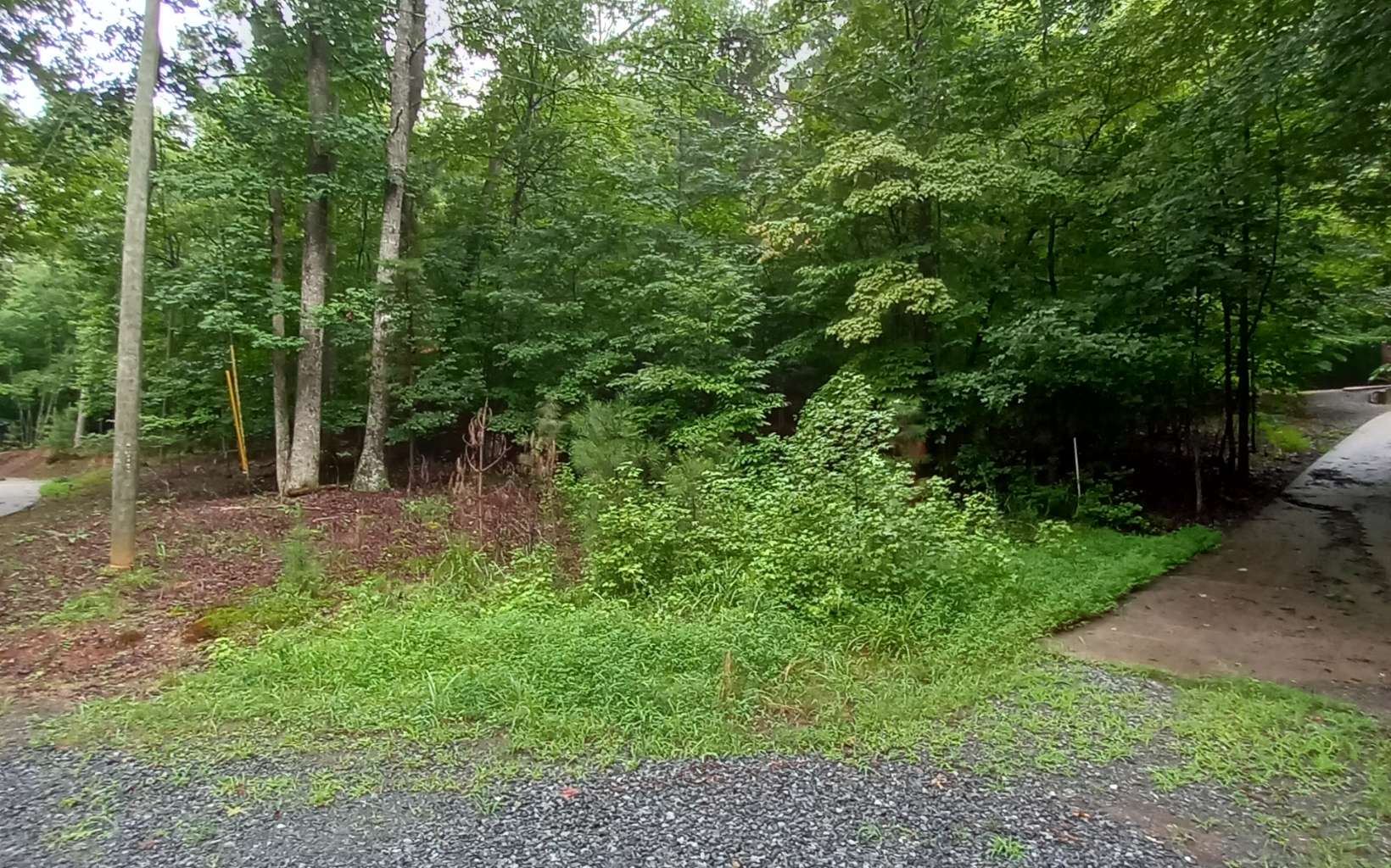 Focal Court Lot 1397