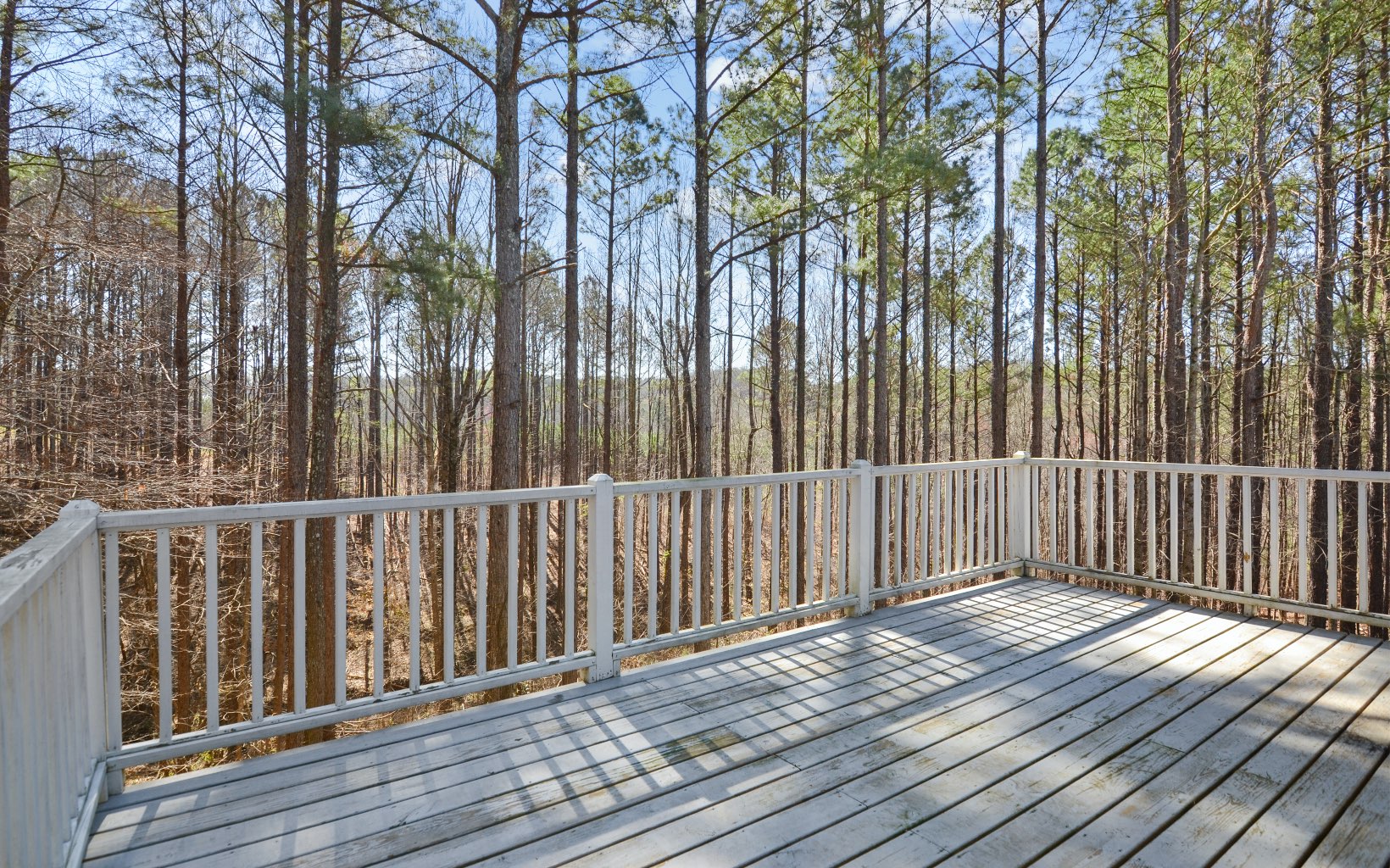 227 White Pine Way