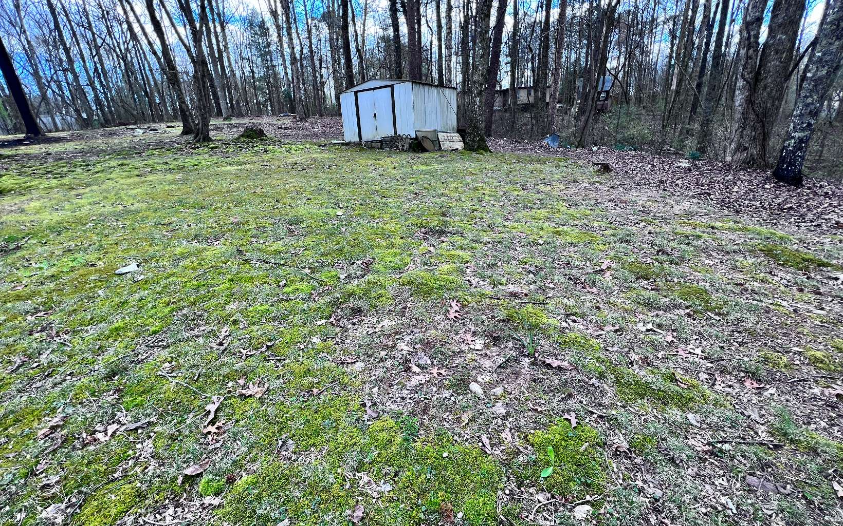 223 Lakeside Park Court