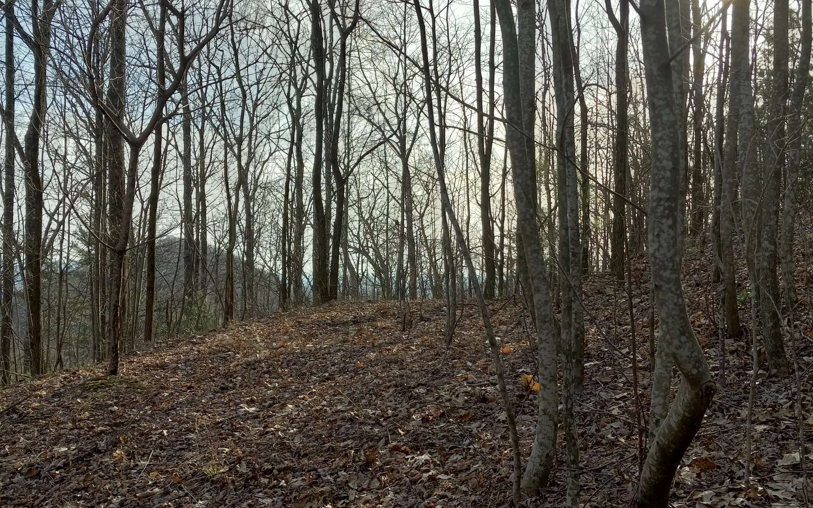 LOT 9 Hardslate Road