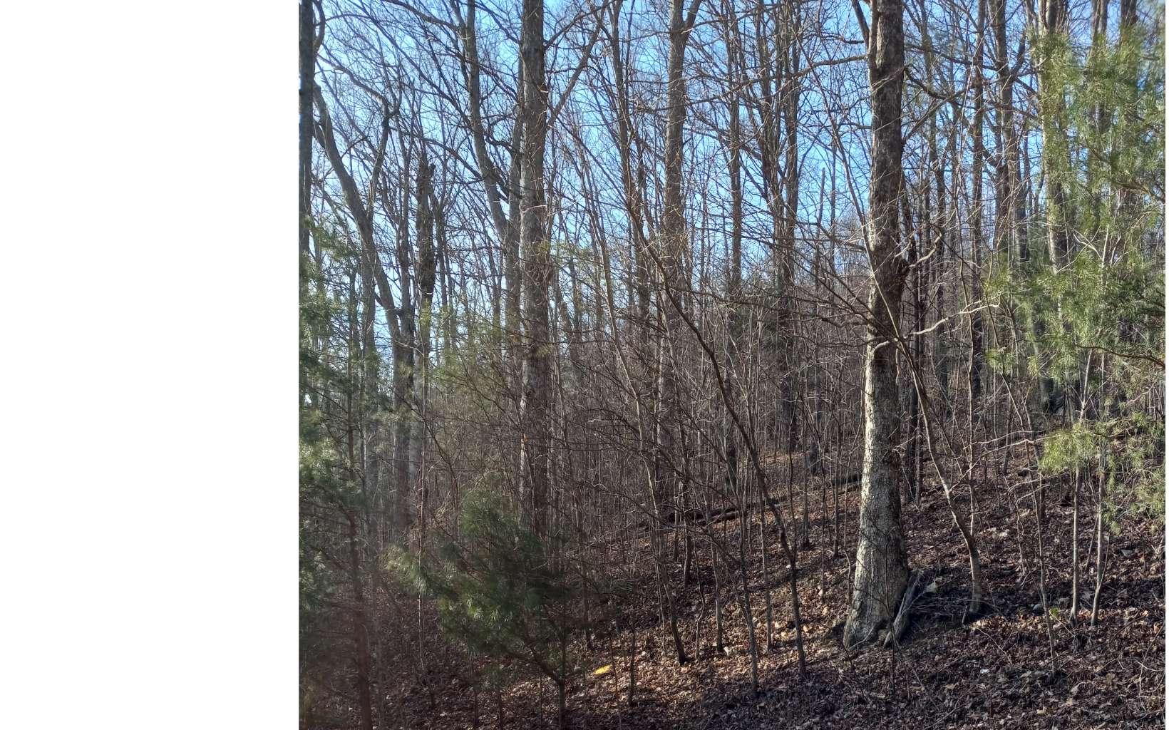 LOT 9 Hardslate Road