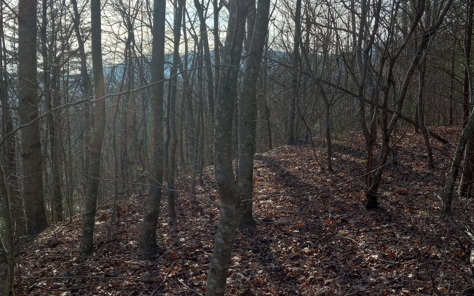LOT 9 Hardslate Road