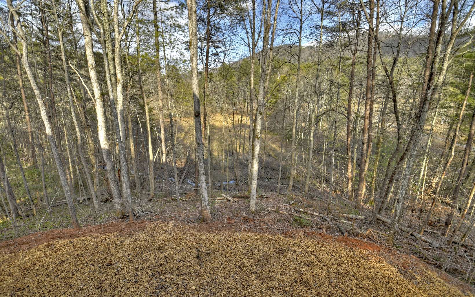 186 Buck Creek Trail