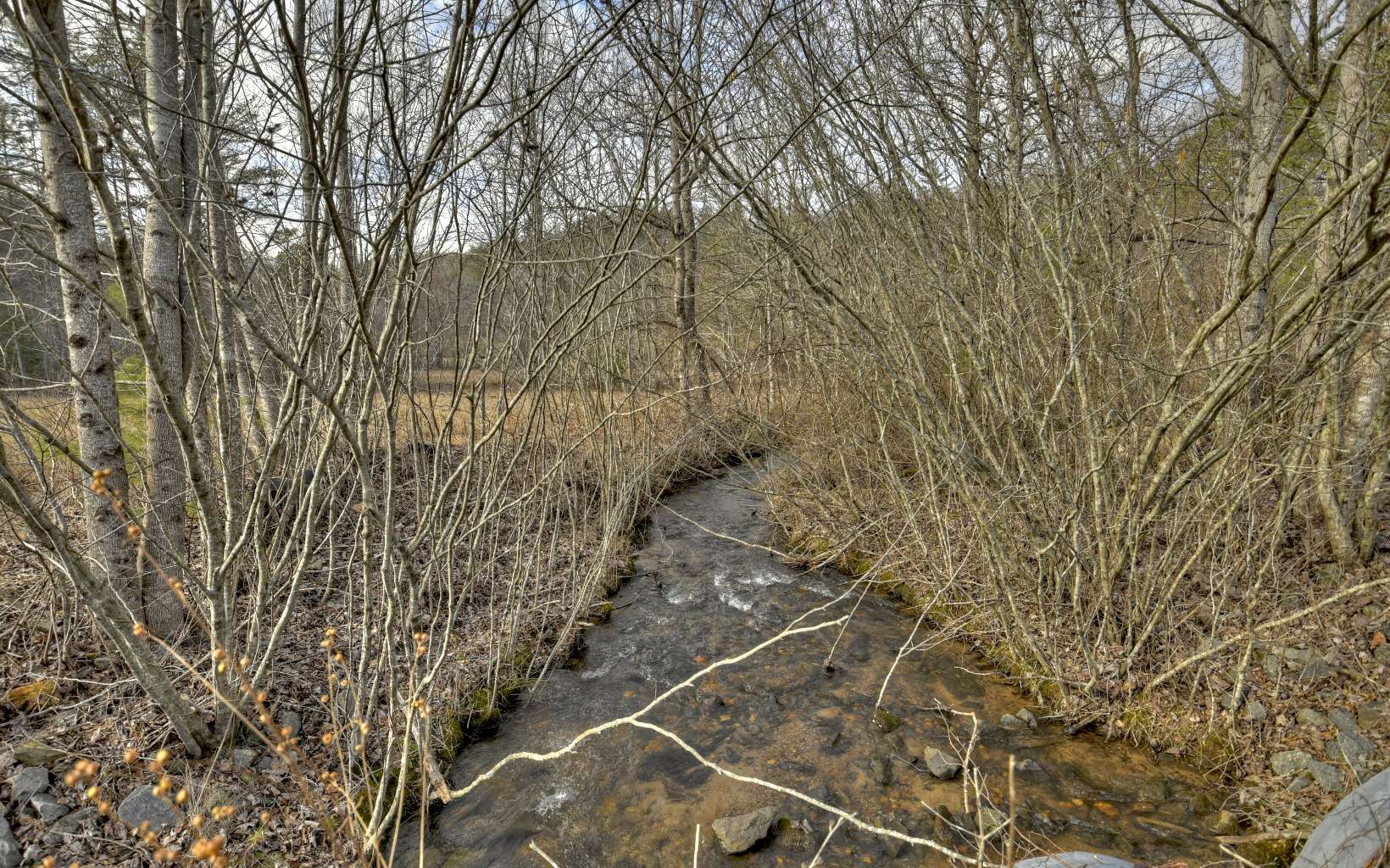 186 Buck Creek Trail