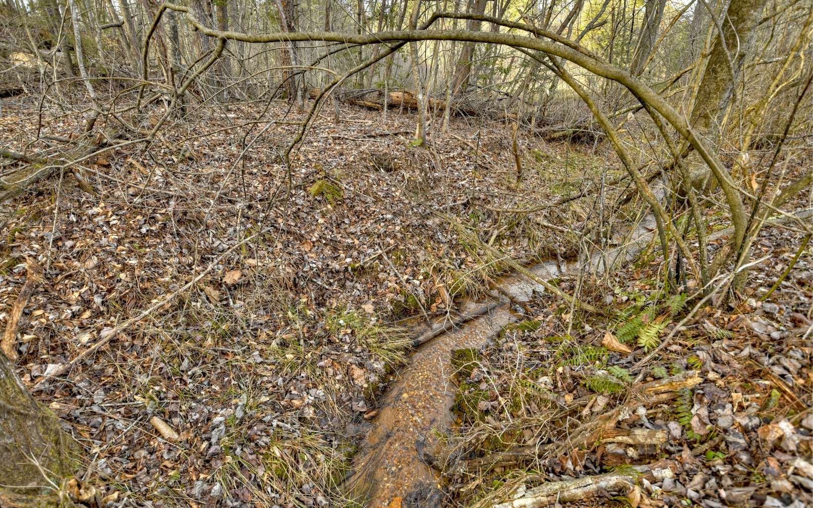 186 Buck Creek Trail