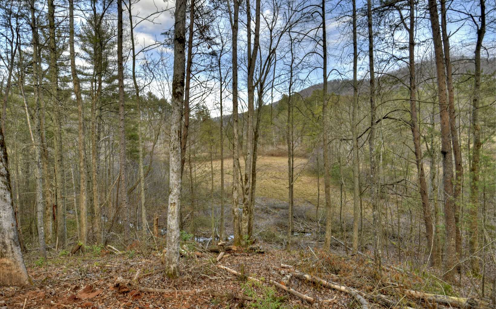 186 Buck Creek Trail