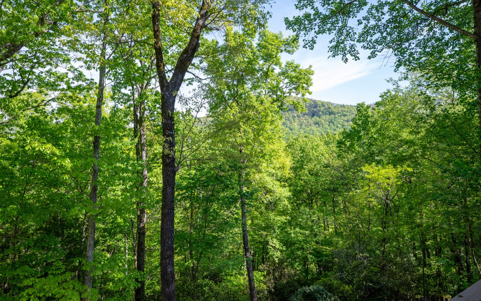 605 Laurel Ridge Drive