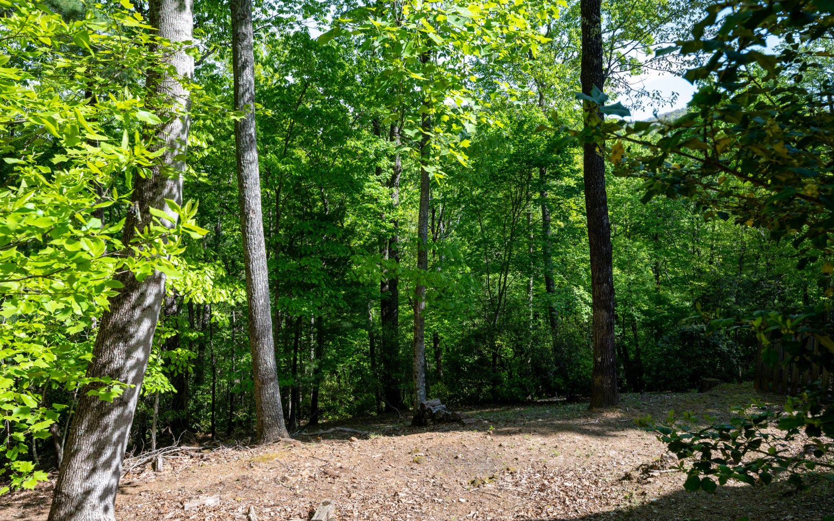605 Laurel Ridge Drive