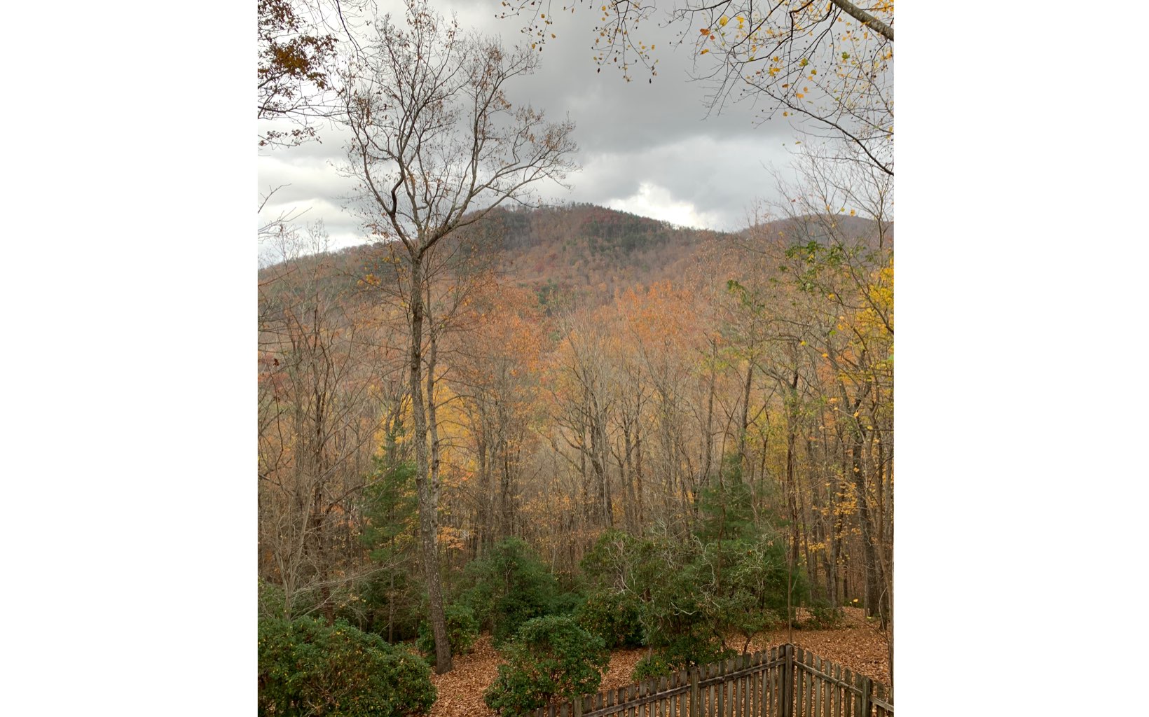 605 Laurel Ridge Drive