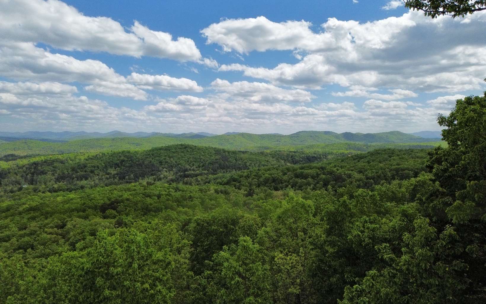 0 Bruce Mountain Road