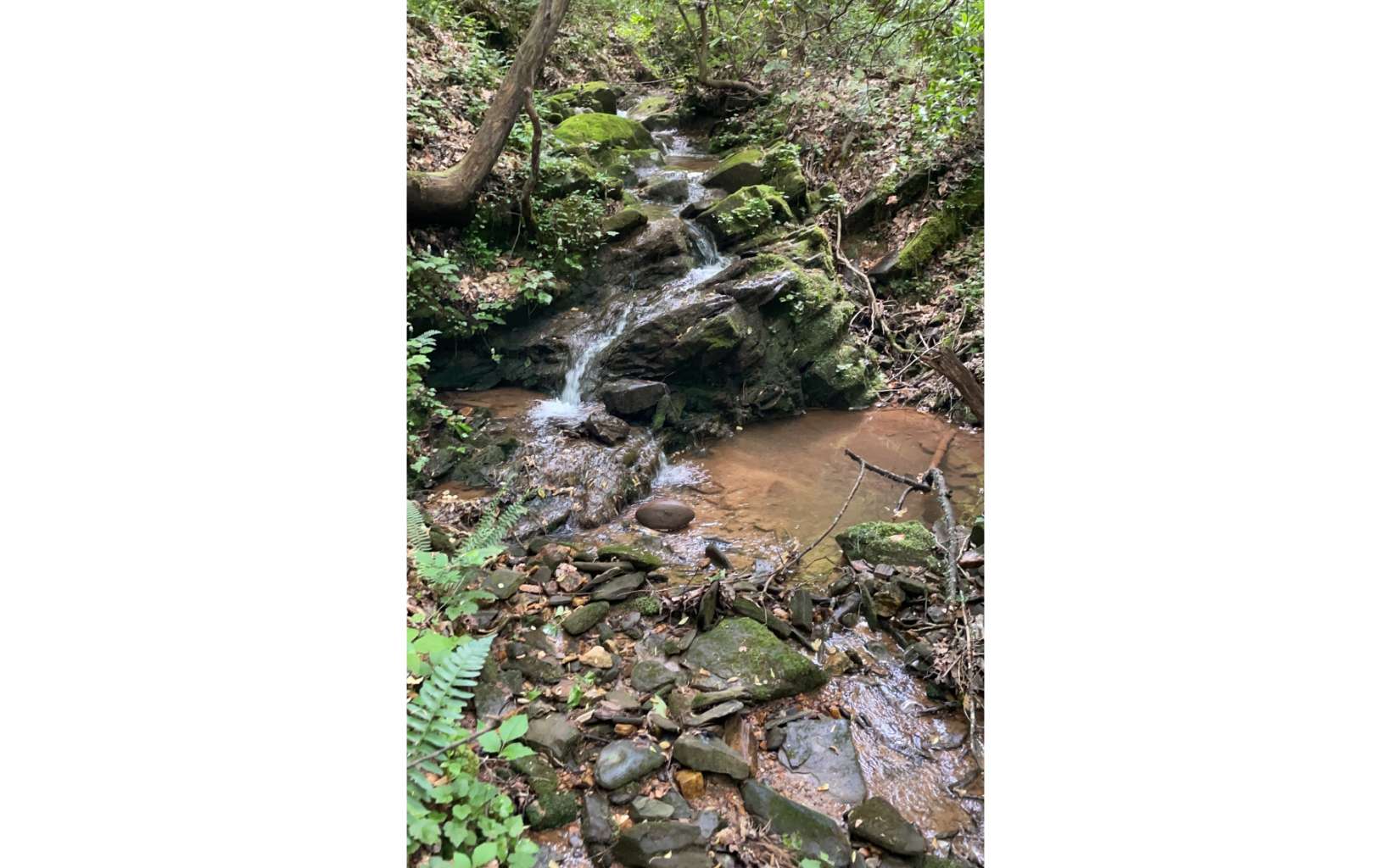 1902 Hwy 382w