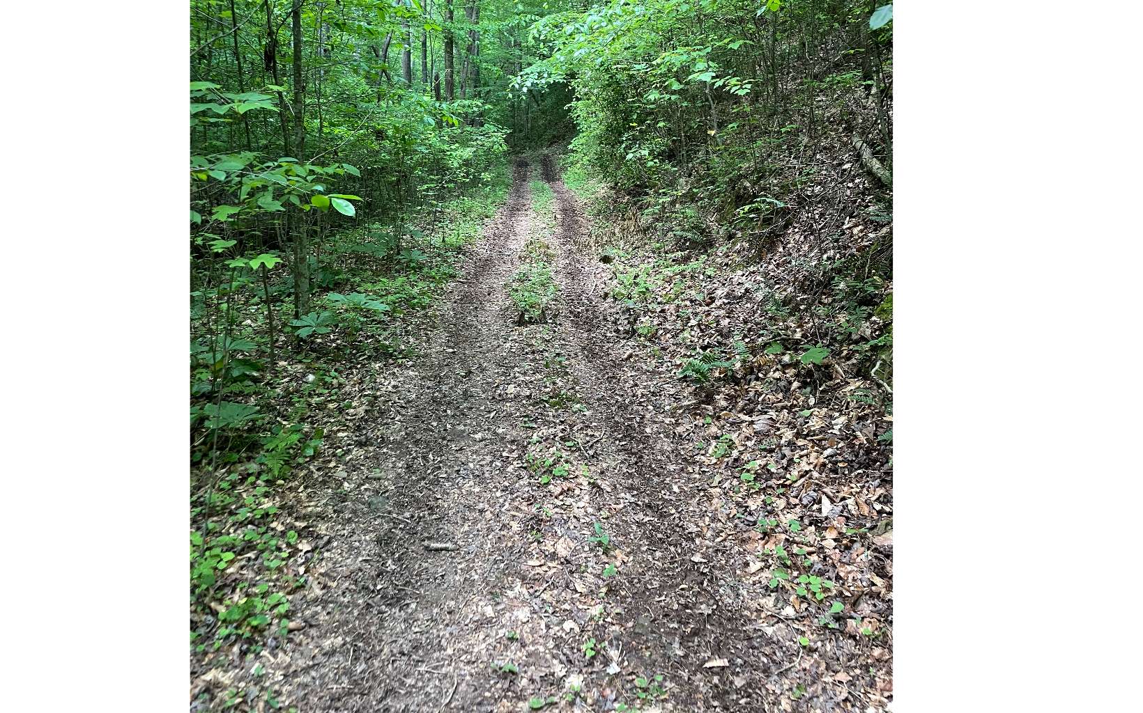 1902 Hwy 382w
