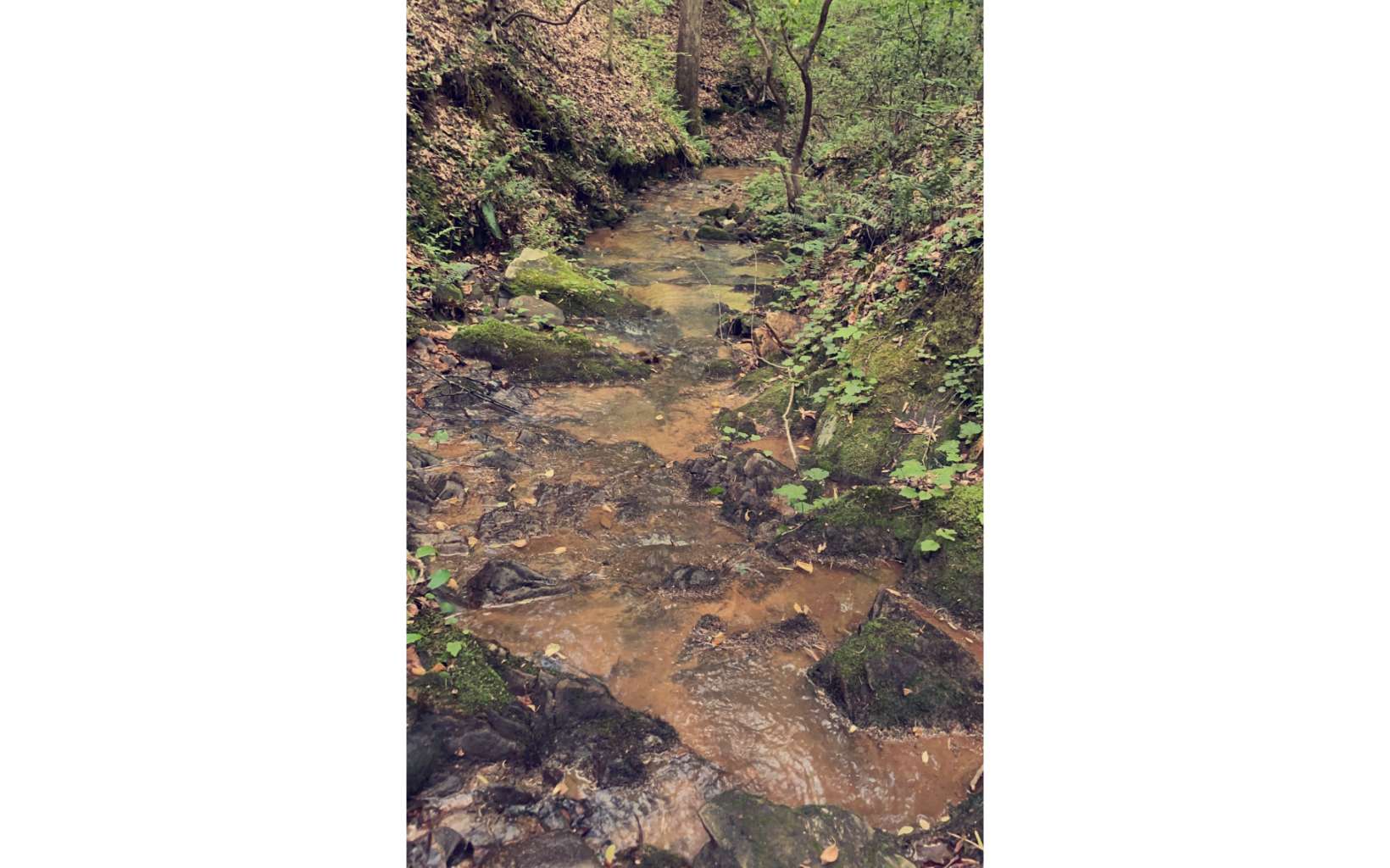 1902 Hwy 382w
