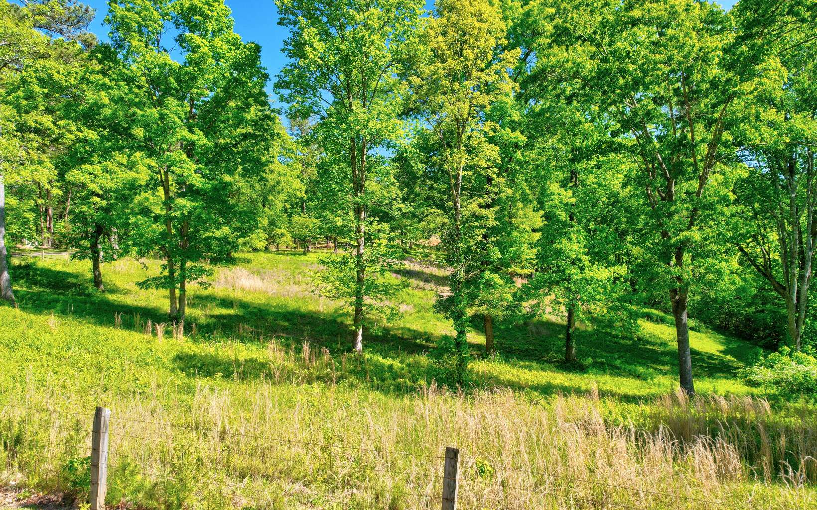 1902 Hwy 382w