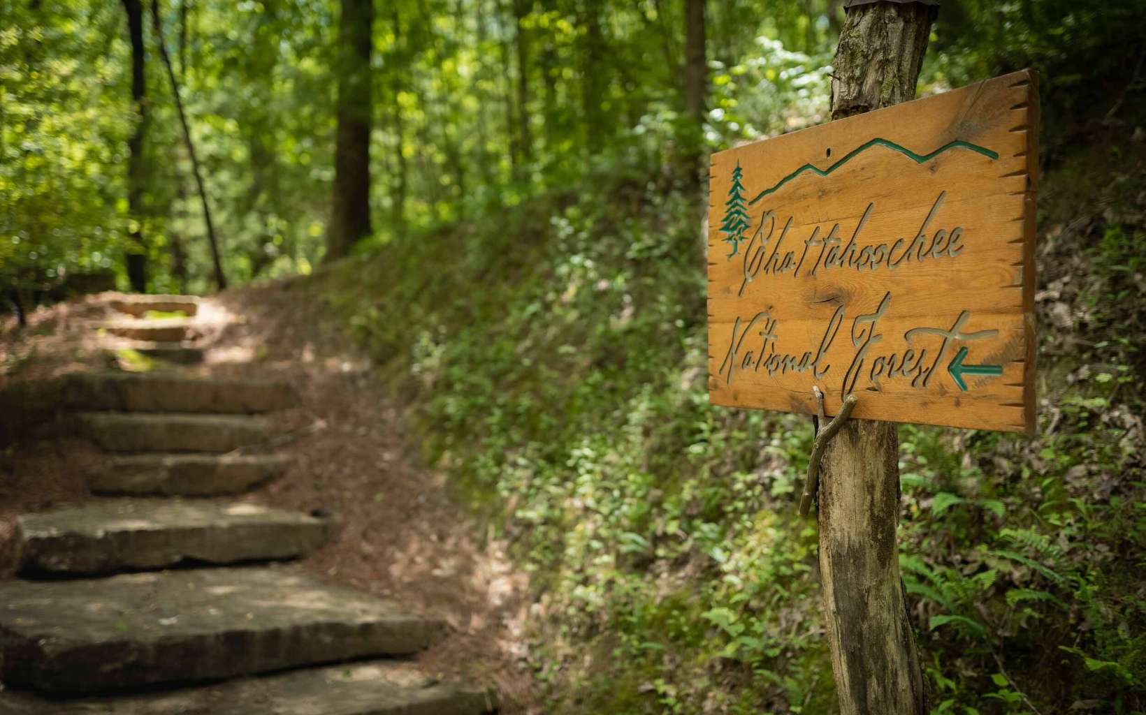 800 Chief Whitetails Road