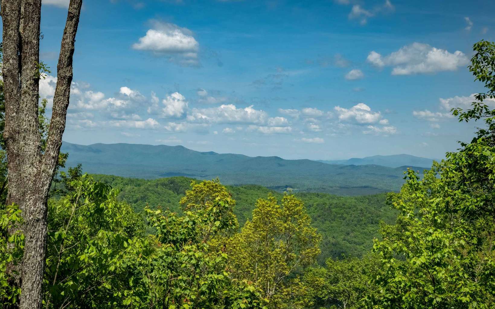 800 Chief Whitetails Road