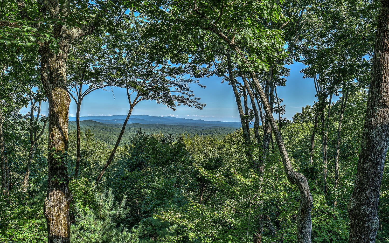 800 Chief Whitetails Road