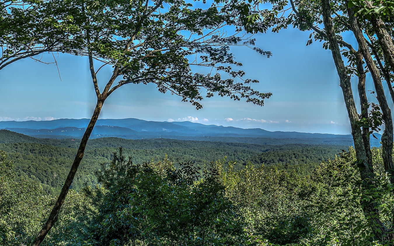 800 Chief Whitetails Road