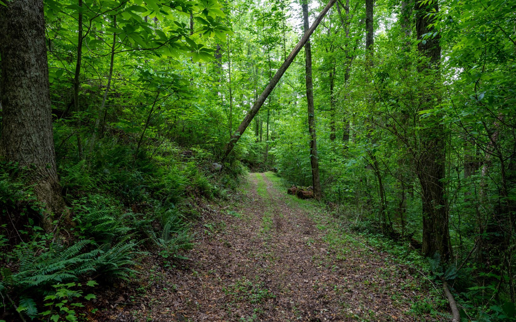 12.48 Tails Creek Rd.