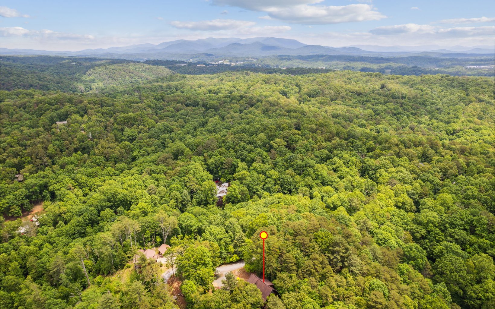 111 Dryad Court