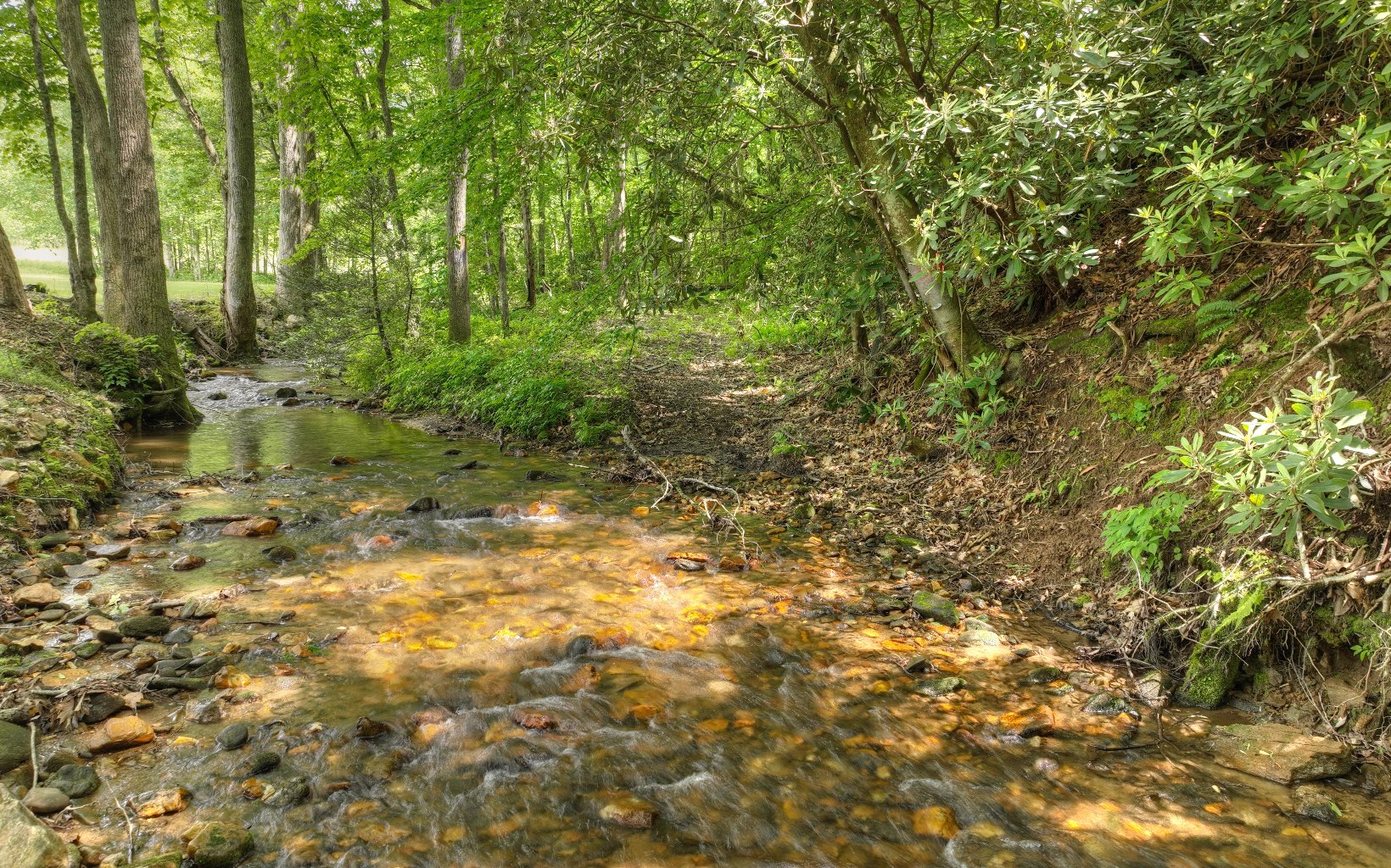 39 Frost Mountain Trail
