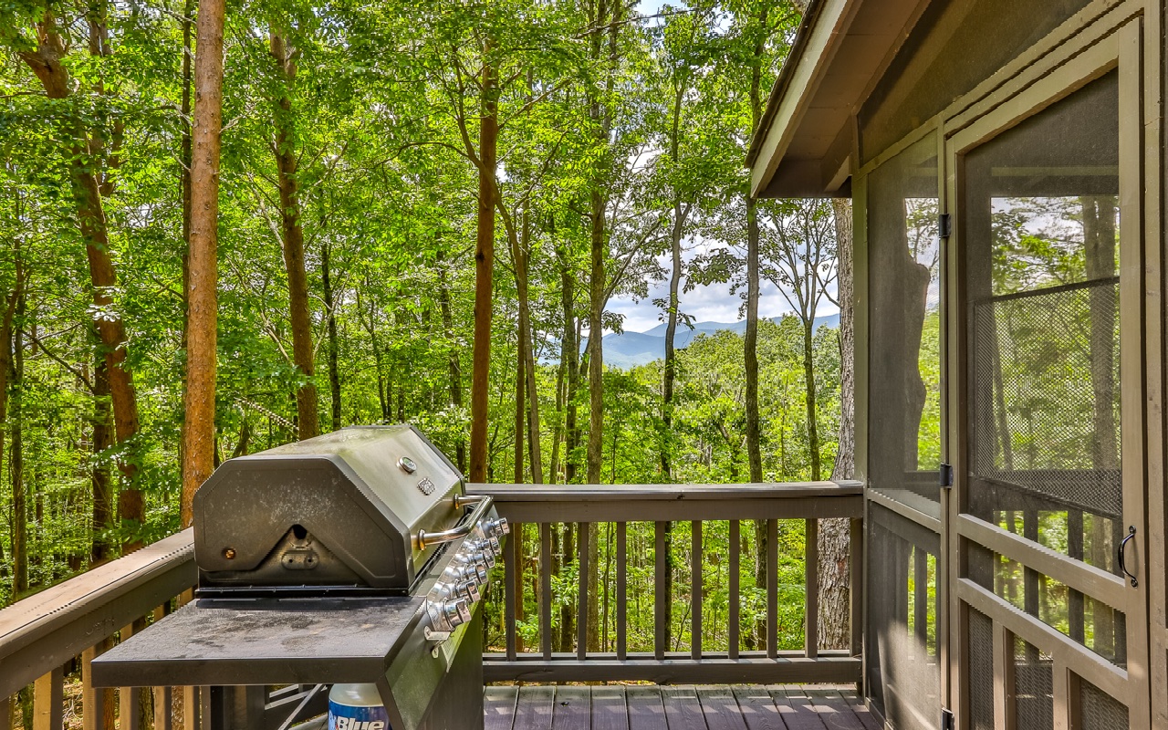 1294 Cherry Lake Drive