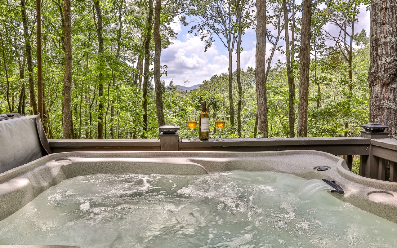 1294 Cherry Lake Drive