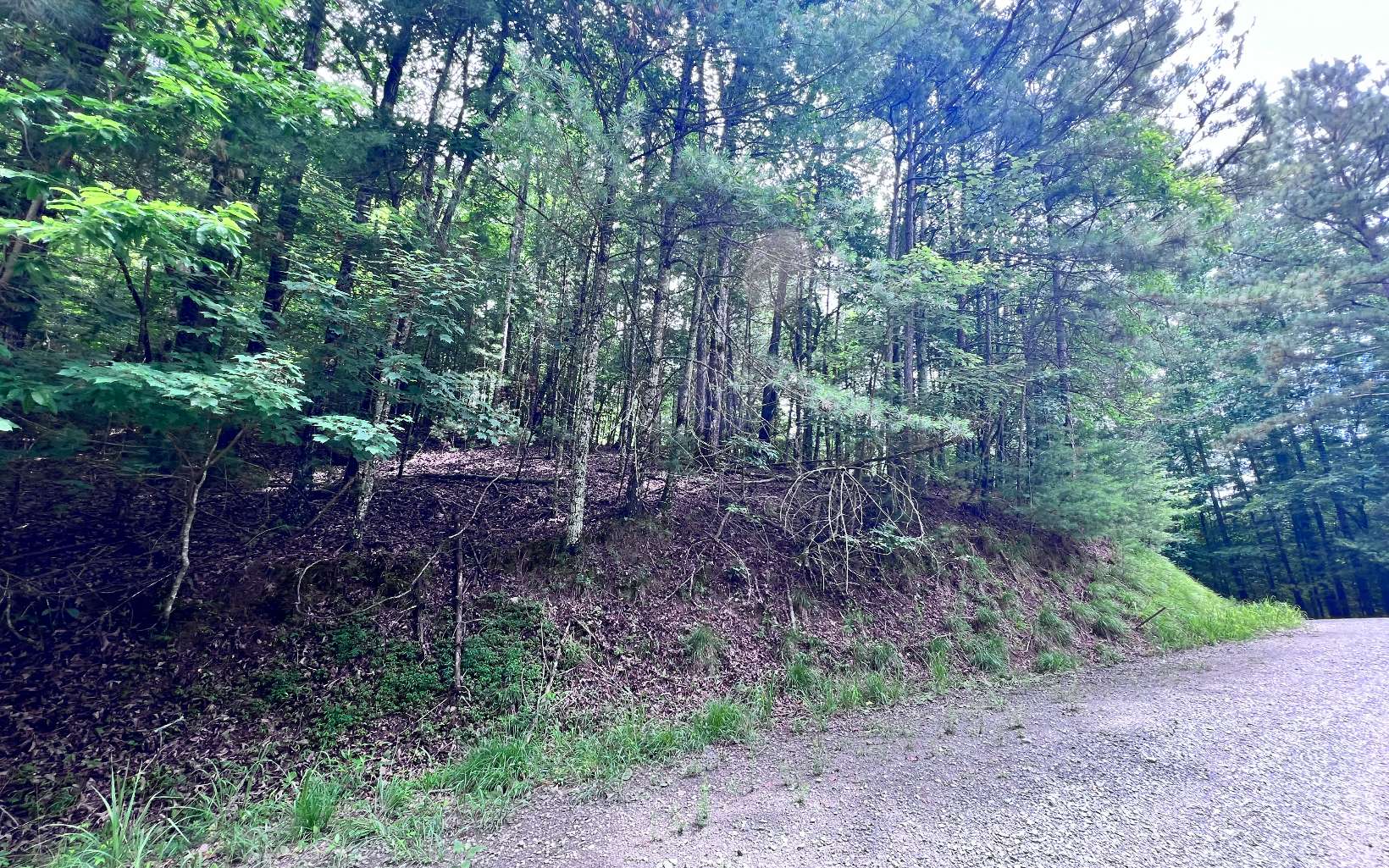 L3675 Fern Drive