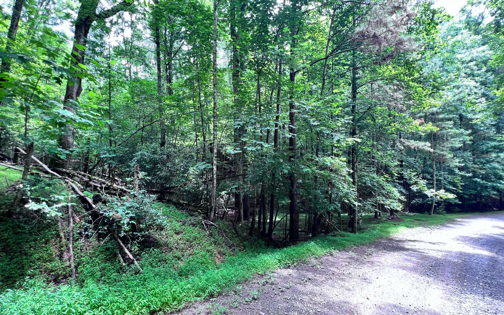 L3675 Fern Drive