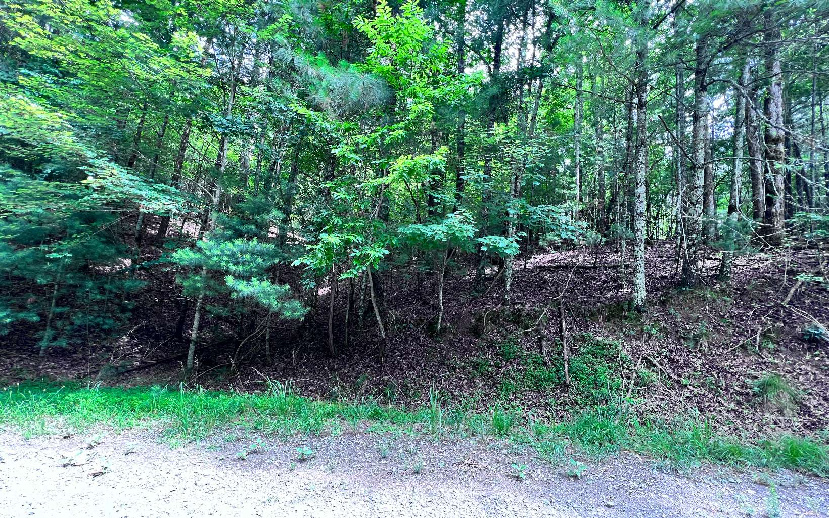 L3675 Fern Drive