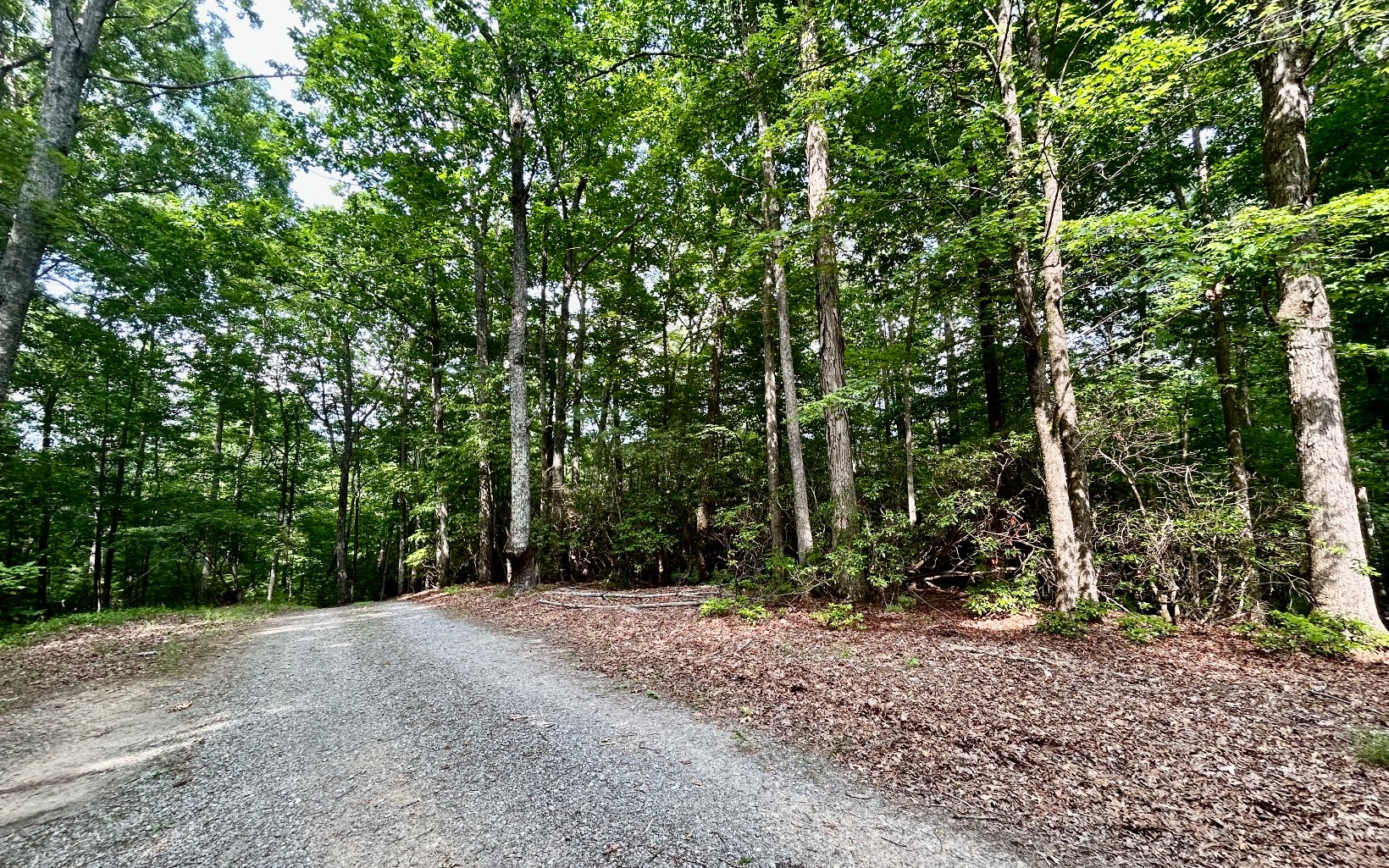 G-79 Ridge View Road