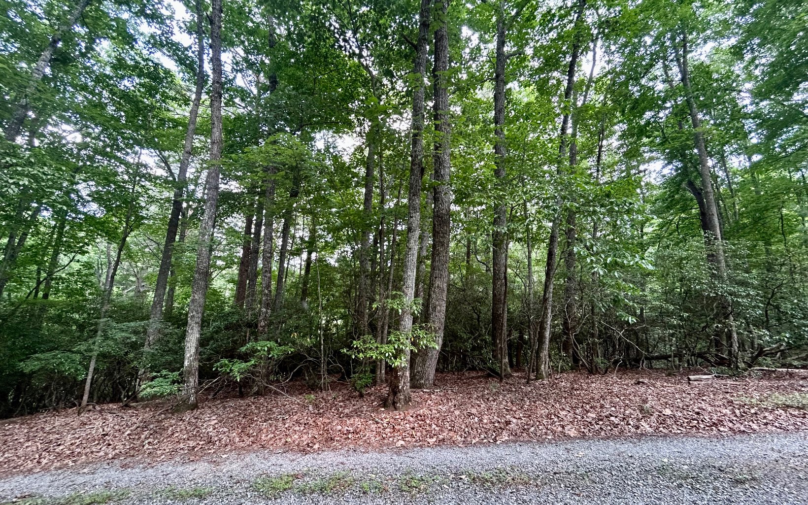 G-79 Ridge View Road