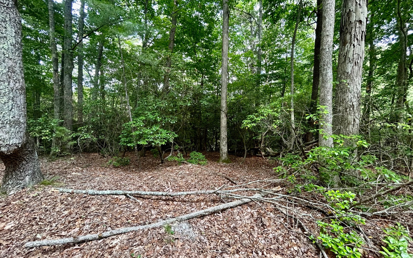 G-79 Ridge View Road